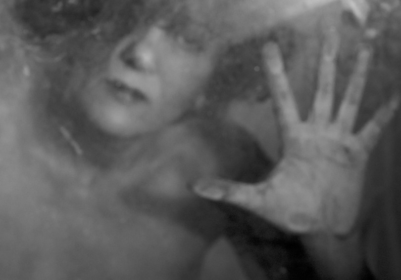 immagine Profilo Daniela De Luca